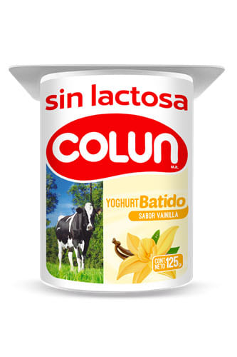 YOGHURT SIN LACTOSA FRUTILLA 125 G 48 UN