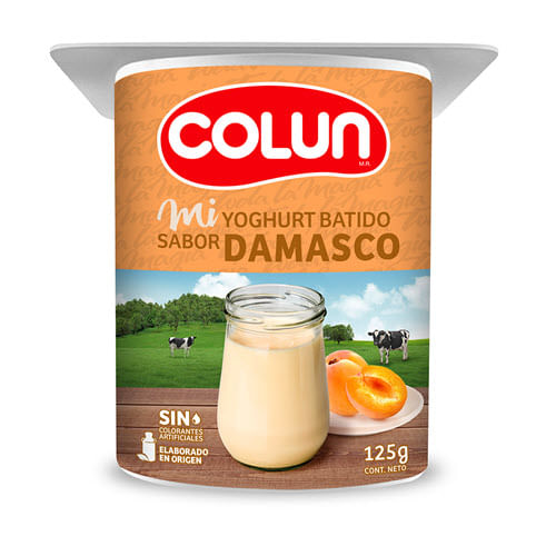 YOGHURT BATIDO DAMASCO 125 G 48 UN