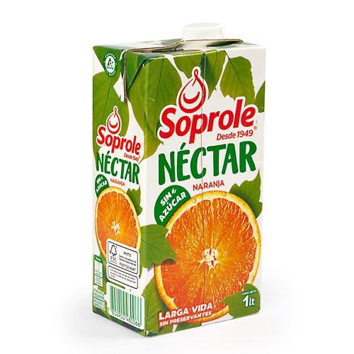 NECTAR NARANJA 1 L