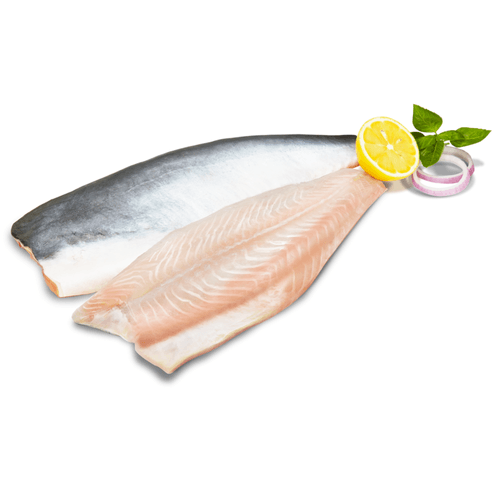 PANGASIUS FILETE 1 KG